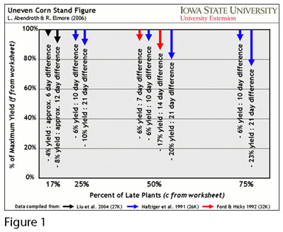 CORN REPLANT DECISIONS